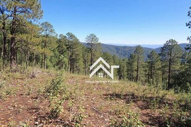 Terreno &agrave; venda - 3600m&sup2; - Rio Abaixo