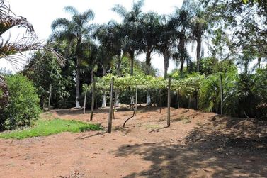 Ch&aacute;cara &agrave; venda - 450m&sup2; - CAETETUBA