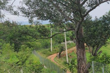 Terreno &agrave; venda - 250m&sup2; - Centro