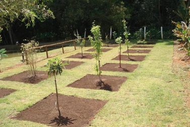 Ch&aacute;cara &agrave; venda - 3024m&sup2; - CACHOEIRA