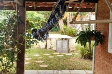 Casa &agrave; venda - 675m&sup2; - Jardim dos Pinheiros