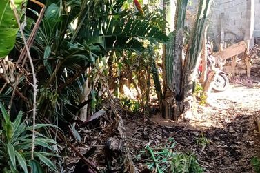 Ch&aacute;cara &agrave; venda - 100m&sup2; - JARDIM IMPERIAL