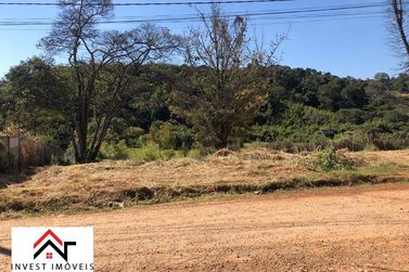 Terreno &agrave; venda - 4801m&sup2; - Ribeir&atilde;o dos Porcos