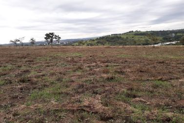 Terreno &agrave; venda - 5000m&sup2; - Rio Abaixo