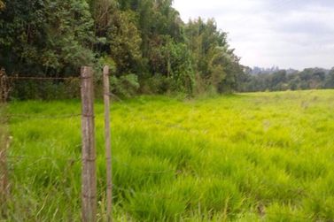 Terreno &agrave; venda - 37000m&sup2; - Rio Abaixo