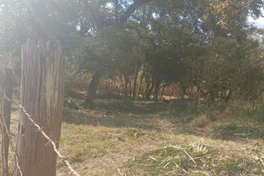 Terreno &agrave; venda - 27667m&sup2; - Jardim Maracan&atilde;