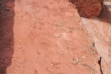 Terreno &agrave; venda - 660m&sup2; - EST&Acirc;NCIA SANTA MARIA DO PORT&Atilde;O