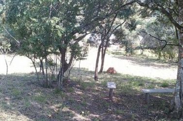 Terreno &agrave; venda - 1000m&sup2; - Vit&oacute;ria R&eacute;gia