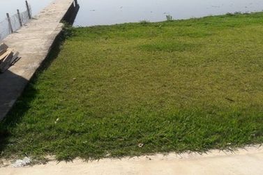 Casa para alugar - 240m&sup2; - Usina