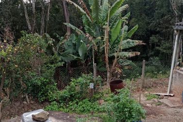 Terreno &agrave; venda - 20000m&sup2; - cachoeirinha