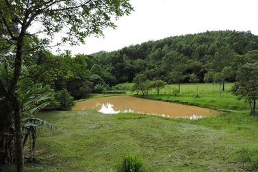 S&iacute;tio &agrave; venda - 200m&sup2; - CAMPO LARGO