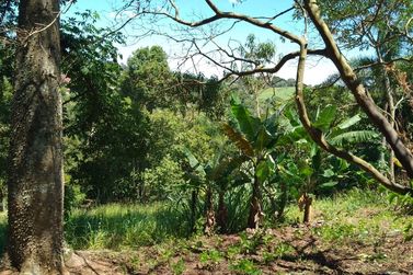 Ch&aacute;cara &agrave; venda - IARA