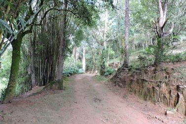 S&iacute;tio &agrave; venda - 200m&sup2; - CAMPO LARGO