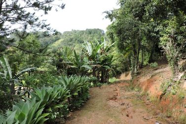 S&iacute;tio &agrave; venda - 200m&sup2; - CAMPO LARGO