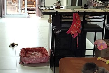 Apartamento &agrave; venda - 73m&sup2; - JARDIM COLONIAL