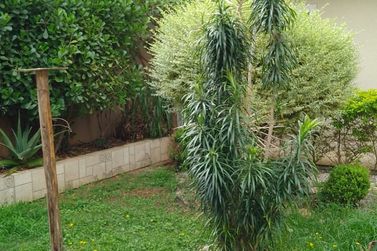 Casa &agrave; venda - JARDIM DOS PINHEIROS