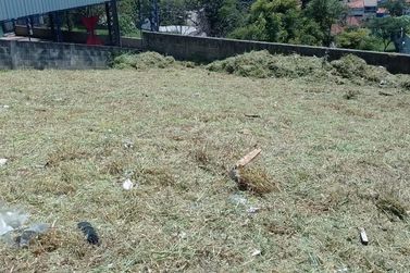 Terreno &agrave; venda - 412m&sup2; - santa maria