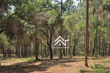 Terreno &agrave; venda - 20000m&sup2; - Ros&aacute;rio