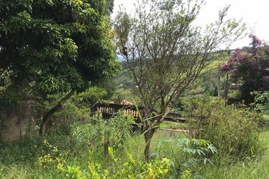 Ch&aacute;cara &agrave; venda - vitoria regia
