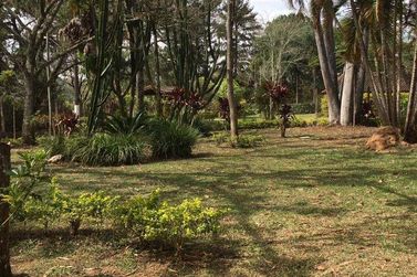 Ch&aacute;cara &agrave; venda - 3200m&sup2; - Parque Rio Abaixo