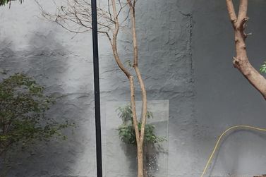 Casa &agrave; venda - JARDIM EST&Acirc;NCIA BRASIL
