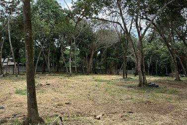 Terreno &agrave; venda - 6000m&sup2; - Paiol Grande