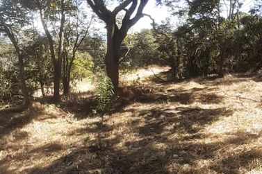 Terreno &agrave; venda - 1000m&sup2; - EST&Acirc;NCIA SANTA MARIA DO LARANJAL
