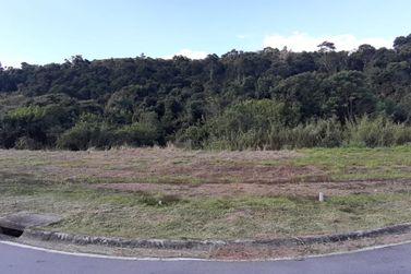Terreno &agrave; venda - 525m&sup2; - Residencial Granville