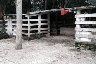S&iacute;tio &agrave; venda - 12000m&sup2; - Areia Branca