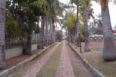 Ch&aacute;cara &agrave; venda - 5000m&sup2; - Recanto dos Palmares