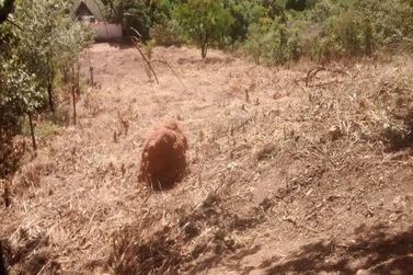 Terreno &agrave; venda - 1237m&sup2; - Bosque dos Eucal&iacute;ptos