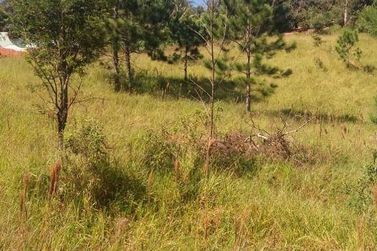 Terreno &agrave; venda - 1192m&sup2; - Est&acirc;ncia Santa Maria do Port&atilde;o