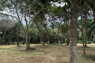 Terreno &agrave; venda - 5000m&sup2; - Paiol Grande