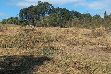 Terreno &agrave; venda - 1030m&sup2; - Vit&oacute;ria R&eacute;gia