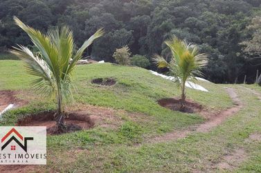 Ch&aacute;cara &agrave; venda - 5000m&sup2; - Nova Gard&ecirc;nia
