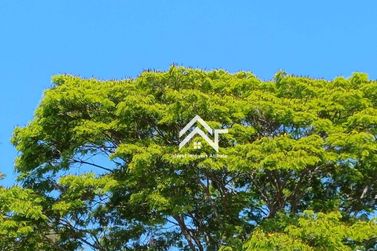 Terreno &agrave; venda - 536m&sup2; - Jardim Est&acirc;ncia Brasil