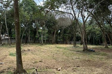 Terreno &agrave; venda - 5000m&sup2; - Paiol Grande