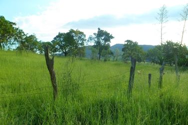 Terreno &agrave; venda - 1000m&sup2; - Ch&aacute;caras Fern&atilde;o Dias