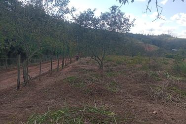 Terreno &agrave; venda - 27667m&sup2; - Jardim Maracan&atilde;