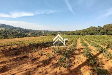 Terreno &agrave; venda - 363000m&sup2; - Iara
