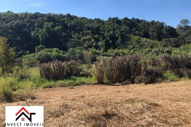 Terreno &agrave; venda - 4801m&sup2; - Ribeir&atilde;o dos Porcos