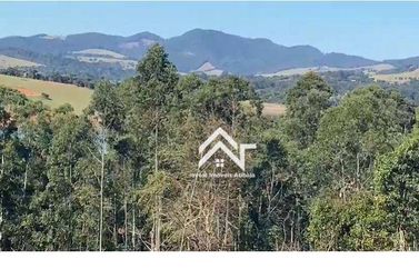 Terreno &agrave; venda - 61503m&sup2; - Paiol Grande