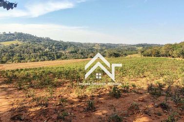 Terreno &agrave; venda - 363000m&sup2; - Iara