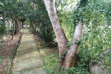 Terreno &agrave; venda - 769m&sup2; - LOTEAMENTO VALE DAS FLORES