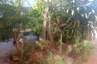 Casa &agrave; venda - JARDIM DAS PALMEIRAS