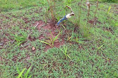 Terreno &agrave; venda - 1000m&sup2; - Bragan&ccedil;a Paulista