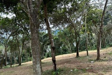 Terreno &agrave; venda - 5000m&sup2; - Paiol Grande