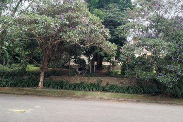 Ch&aacute;cara &agrave; venda - 1220m&sup2; - Vila Santista