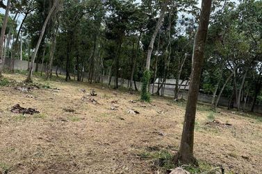 Terreno &agrave; venda - 5000m&sup2; - Paiol Grande