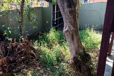 Casa &agrave; venda - JARDIM IMPERIAL